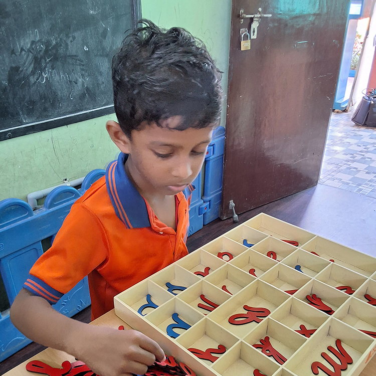 free-education-impact